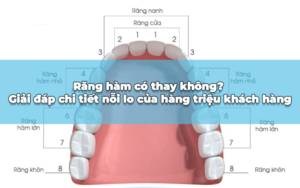 răng hàm có thay không